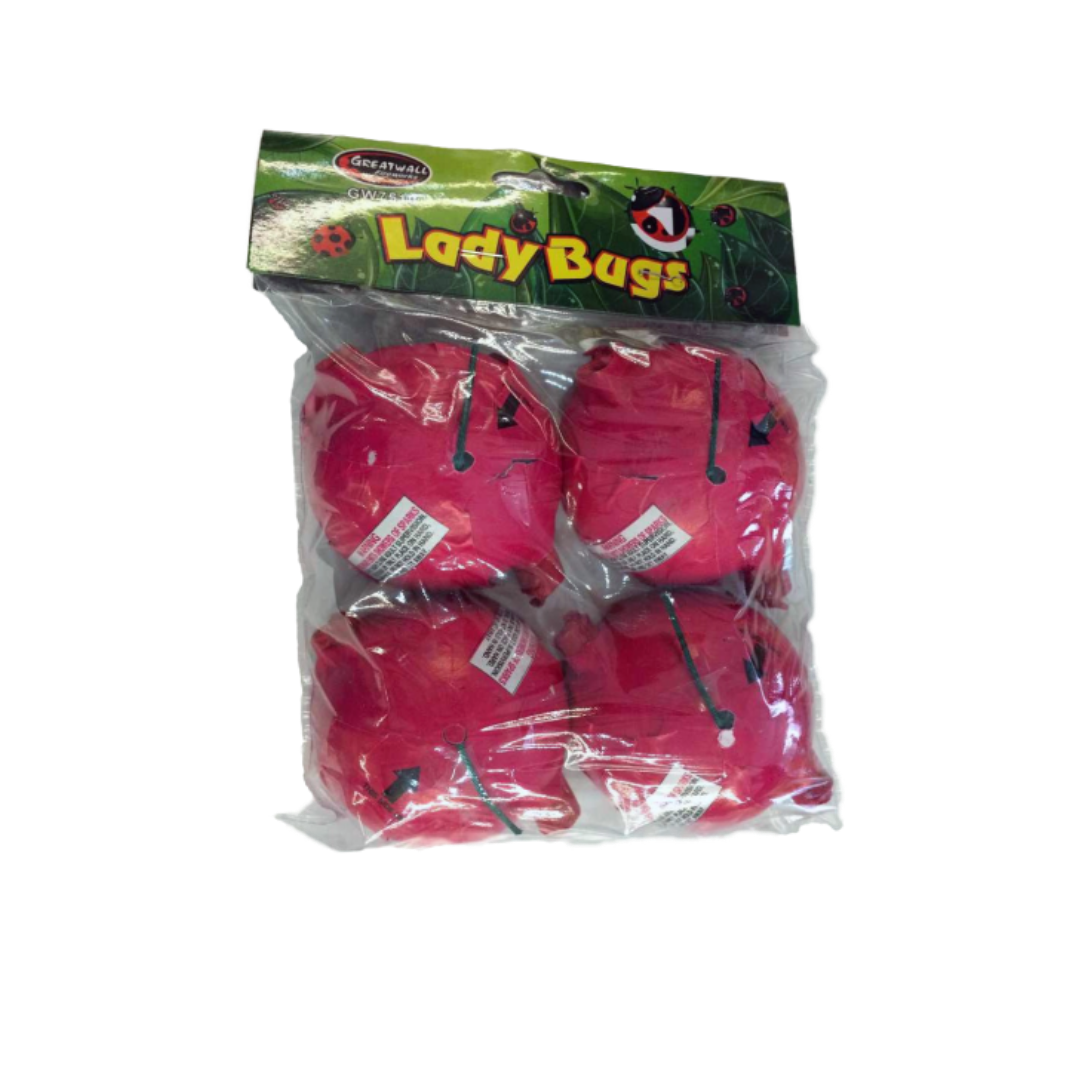 Lady Bugs Darwin Fireworks
